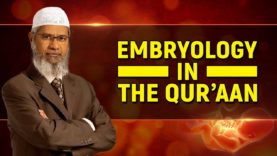 embryology-in-the-quran