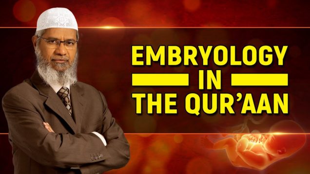 embryology-in-the-quran