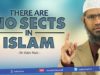 there-are-no-sects-in-islam