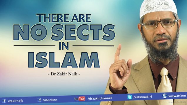 there-are-no-sects-in-islam