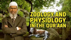 zoology-and-physiology-in-the-quran