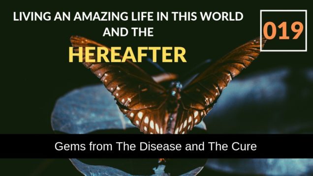 Living An Amazing Life In This World and The Hereafter | Gems from The Disease and The Cure