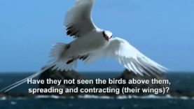 Surah Mulk (English Translation)