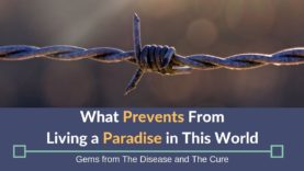 What Prevents Us From Living in Paradise In This World | Gems from the Disease and The Cure